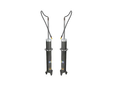 Shock Absorbers (PAIR), Rear With PASM. Porsche 997.1 / 997.2 Carrera 4 TARGA / Carrera 4S TARGA 2005-12 - 99733304911, 99733304910, 99733304903, 99733304904