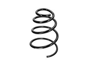 Molla elicoidale, anteriore. Porsche 987 Cayman / 987 Boxster - 25025, 87343, 99734353130, 99734353137, 99734353141, 99734353182, 99734353183504, 99734353132, 99734353138, 99734353144504, 99734353141504, 997343 53133