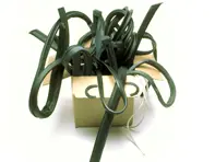 Restauratie rubberen afdichtingen kit. Porsche 911 Targa Standaard carrosserie - 91153163100, 91153163200, 90150339422, 99991108440, 90150549720, 91163197001, 91163197101, 91163197000, 91163197100, 90150509120, 90253109340, 91151212900, 91154290500, 91154122504, 90151190106, 91154213540, 91154213640