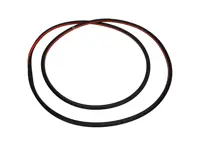 Deurafdichting buiten Achter. Porsche 95B Macan - 95B837911