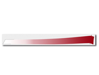 Decorative foil, rear, in Indian Red for Porsche 996 GT3 RS - 99655933592, 99655933692, 99655933690