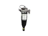 后空气悬架支柱单元。保时捷 958 卡宴 2011 - 2018 - 95835801900, 95835801901, 95835801905, 95835801910, 95835801911, 95835801917, 95835801918, 95835801920, 95835801930, 95835801931, 95835801940, 95835801950, 95835802000, 95835802001, 95835802005, 95835802010, 95835802011, 95835802015, 95835802017, 95835802018, 95835802020, 95835802030, 95835802031, 95835802040, 95835802041, 95835802050 - 42928, 54014