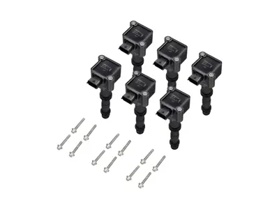 Ignition Coil Packs (PACK OF 6 BERU) Porsche 996 3.4L / Boxster 986>>03 - 99760210700, 99760210702, 99660210200, 99760210702, 99660210101, 99660210200, 99760210700, 0986221116, 99760210405, 997.602.104.05, 997 602 104 05, 99760210404, 997.602.104.04, 997 602 104 04, 99760210402, 997.602.104.02, 997 602 104 02, 99760210406, 997.602.104.06, 997 602 104 06, 99760210403, 997.602.104.03, 997 602 104 03, 99760210401, 997.602.104.01, 997 602 104 01, 99760210400, 997.602.104.00, 997 602 104 00, 99660210400, 996.602.104.00, 996 602 104 00, 997.602.107.00, 997 602 107 00, 996.602.101.01, 996 602 101 01, 99660210501, 996.602.105.01, 996 602 105 01, 99660210500, 996.602.105.00, 996 602 105 00, 9760210702, 90038502501, 900.385.025.01, 900 385 025 01, 99660210100, 996.602.101.00, 996 602 101 00, 99917020791, 99610532552 - ZS177, ZS177