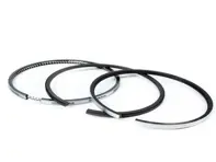 Set fasce elastiche. Porsche 958 Cayenne Diesel / 970 Panamera Diesel - 028 RS 00135 0N0, 95810392700, 95810392710, 028RS001350N0, 028RS001350N1, 028RS001350N2