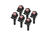 Pack de bobines d'allumage performantes (PACK DE 6). Porsche 996 / Boxster 986 / Boxster 987 / 997 / Caïman - 99760210402, 99760210400, 99660210400, 99760210404, 0986221119, 90660210200, 90660210301, 99660210100, 99660210101, 99660210200, 99760210401, 99760210700, 99760210702, 99760210406, 99760210405, 90660210101, 99760210703, 4201R - EUPD6004202R