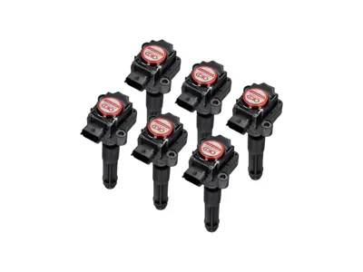Performance Ignition Coil Pack (PACK OF 6). Porsche 996 / Boxster 986 / Boxster 987 / 997 / Cayman - 99760210402, 99760210400, 99660210400, 99760210404, 0986221119, 90660210200, 90660210301, 99660210100, 99660210101, 99660210200, 99760210401, 99760210700, 99760210702, 99760210406, 99760210405, 90660210101, 99760210703, 4201R - EUPD6004202R