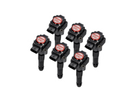 高性能点火线圈包（6 件装）。保时捷 996 / Boxster 986 / Boxster 987 / 997 / Cayman - 99760210402, 99760210400, 99660210400, 99760210404, 0986221119, 90660210200, 90660210301, 99660210100, 99660210101, 99660210200, 99760210401, 99760210700, 99760210702, 99760210406, 99760210405, 90660210101, 99760210703, 4201R - EUPD6004202R