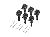 Ignition Coil Packs (PACK OF 6). Porsche 996 / Boxster 986 / Boxster 987 / 996 GT3 MKII - 99760210400, 99760210402, 99660210400, 99760210404, 99760210400, 99760210405, 997.602.104.05, 997 602 104 05, 997.602.104.04, 997 602 104 04, 997.602.104.02, 997 602 104 02, 99760210406, 997.602.104.06, 997 602 104 06, 99760210403, 997.602.104.03, 997 602 104 03, 99760210401, 997.602.104.01, 997 602 104 01, 997.602.104.00, 997 602 104 00, 996.602.104.00, 996 602 104 00, 99760210700, 997.602.107.00, 997 602 107 00, 99660210101, 996.602.101.01, 996 602 101 01, 99660210501, 996.602.105.01, 996 602 105 01, 99660210500, 996.602.105.00, 996 602 105 00, 9760210702, 90038502501, 900.385.025.01, 900 385 025 01, 99660210100, 996.602.101.00, 996 602 101 00, 99917022390, 99610532552 - ZS178, ZS178, 0986221119