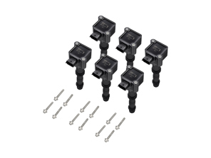Ignition Coil Packs (PACK OF 6). Porsche 996 / Boxster 986 / Boxster 987 / 996 GT3 MKII - 99760210400, 99760210402, 99660210400, 99760210404, 99760210400, 99760210405, 997.602.104.05, 997 602 104 05, 997.602.104.04, 997 602 104 04, 997.602.104.02, 997 602 104 02, 99760210406, 997.602.104.06, 997 602 104 06, 99760210403, 997.602.104.03, 997 602 104 03, 99760210401, 997.602.104.01, 997 602 104 01, 997.602.104.00, 997 602 104 00, 996.602.104.00, 996 602 104 00, 99760210700, 997.602.107.00, 997 602 107 00, 99660210101, 996.602.101.01, 996 602 101 01, 99660210501, 996.602.105.01, 996 602 105 01, 99660210500, 996.602.105.00, 996 602 105 00, 9760210702, 90038502501, 900.385.025.01, 900 385 025 01, 99660210100, 996.602.101.00, 996 602 101 00, 99917022390, 99610532552 - ZS178, ZS178, 0986221119