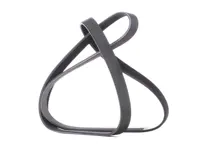 Courroie d'entraînement Porsche 991 GT3 et 991 GT3 RS - 9A110221891