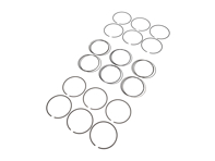 适用于 Capricorn 铝活塞组的环组 P1513 - P1513 - PRS105