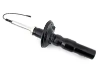 Ammortizzatore posteriore. Porsche Boxster 987 / CAYMAN 987C - 98733305327