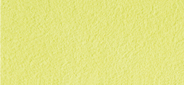 Alcantara 1041