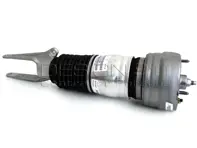 Ammortizzatore anteriore (tipo a sospensione pneumatica). Porsche 970 Panamera (OE NO 97034305115 / 97034305215) - 97034305108, 97034305208, 97034305109, 97034305209, 97034305110, 97034305210, 97034305111, 97034305211, 97034305112, 97034305212, 97034305114, 97034305214, 97034305220, 97034305120