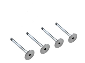 Kit de válvula de escape de culata de motor. Porsche 924S / 944 - 92810541004