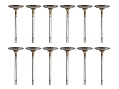 Einlassventilsatz für Zylinderkopf. Porsche 987.2, 981 Boxster / 987.2C, 981C Cayman - 9A110531402
