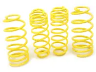 Kit ressort APEX Sport pour AUDI A3 1.8 & TDI (TYP:8L) 96-03 - 10-8010