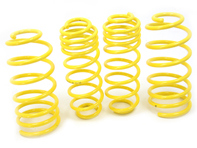 APEX 运动弹簧套件适用于奥迪 A3 1.8 & TDI (TYP:8L) 96-03 - 10-8010