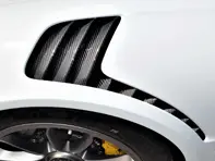 Cubiertas de rejillas de guardabarros delantero, fibra de carbono. Porsche 991.1 GT3 RS - 99150352490, 99150352390 - SF/C/991-503-524-90/GT3RS