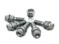 Locking wheel bolt Kit. Porsche Cayenne 955 - 95536105701