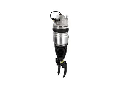 Ammortizzatore anteriore sospensioni pneumatiche. Porsche 958 Cayenne 2011 - 2018 - 95835804000, 95835804001, 95835804002, 95835804003, 95835804004, 95835804005, 95835804006, 95835804010, 95835804011, 95835804012, 95835804013, 95835804014, 95835804015, 95835804016, 95835804017, 95835804021, 95835804022, 95835804040, 95835803900, 95835803901, 95835803902, 95835803903, 95835803904, 95835803905, 95835803906, 95835803910, 95835803911, 95835803912, 95835803913, 95835803914, 95835803915, 95835803916, 95835803917, 95835803921, 95835803922, 95835803940 - 48077, 48085