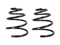 Voorste schroefveren (paar) - Groen/witte markeringen. Porsche 996 3.6L Carrera 2 Coupé met sportvering (M030) 2002-2005 - 99634353119504