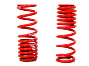 Schraubenfedern HINTERES PAAR. Porsche 996 GT3 >>2002 - 99633353191504