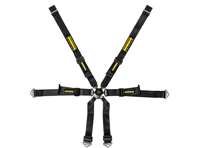 SCHROTH PROFI 2x2 FHR 6-Punkt verstellbarer Renngurt. Porsche 981 Cayman - 94680-0, 94680-2
