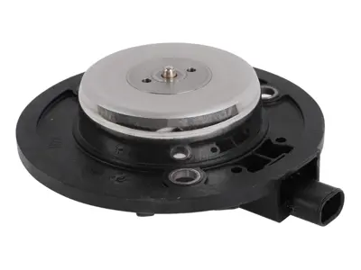 Camshaft adjuster magnet. Porsche Macan / Cayenne