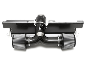 Fabspeed碳纤维竞赛进气口。保时捷997.2 GT3 2010-2011 - 99711002190, 99711002192, 99711002194 - FS.POR.9972GT3.COMPAI