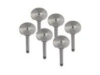 Auslassventilsatz für Motorzylinderkopf. Porsche 911 1970 - 77 - 91110541500, 91110541550