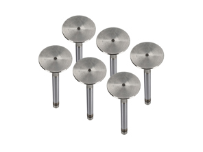 Kit de válvula de escape de culata de motor. Porsche 911 1970 - 77 - 91110541500, 91110541550