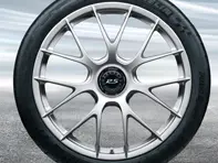 20'/21' 991.2 GT3 RS Magnesium, in briljantzilver (zijdeglans) lichtmetalen velgen origineel Porsche - 99104460340