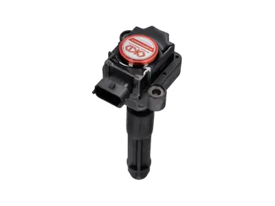 Plasma Direct Ignition Coil Pack. Porsche 996 / Boxster 986 / Boxster 987 / 997 / Cayman - 99760210400, 99760210402, 99660210400, 99760210404, 0986221119, 90660210200, 90660210301, 99660210100, 99660210101, 99660210200, 99760210401, 99760210700, 99760210702, 99760210406, 99760210405, 90660210101, 99760210703 - EUPD6004201R