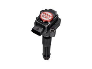 等离子直接点火线圈组。保时捷 996 / Boxster 986 / Boxster 987 / 997 / Cayman - 99760210400, 99760210402, 99660210400, 99760210404, 0986221119, 90660210200, 90660210301, 99660210100, 99660210101, 99660210200, 99760210401, 99760210700, 99760210702, 99760210406, 99760210405, 90660210101, 99760210703 - EUPD6004201R