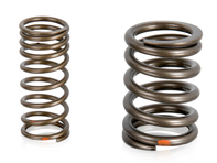 Klepveer set. Porsche 924 - 046109623, 048109623, PCG109623