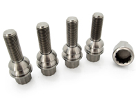 Felgensicherungssatz Titan für Porsche 986/996/997/Cayman - 971698030B, PAF009593, 99736105702, 99736198010, 3608300002, 99736198009, WHT006979A, 3608300002/1, 3608300001/1, 3608300001, 3608300001BLK, 99736120000