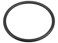 Anillo de sellado 31 x 2 bomba de combustible de alta presión. Porsche 95B Macan / 957 / 958 / 9YA Cayenne / 970 / 971 Panamera - WHT005184 - 172666