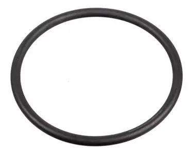 Anello di tenuta 31 x 2 pompa carburante ad alta pressione. Porsche 95B Macan / 957 / 958 / 9YA Cayenne / 970 / 971 Panamera - WHT005184 - 172666