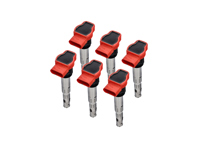 Bobineset. (Set van 6) Porsche 958 Cayenne 3.0L V6 HYBRIDE - 95860210200, 95860210201