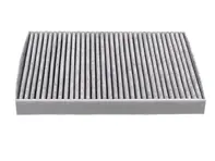 花粉颗粒过滤器。保时捷卡宴（9YA） - PAB81943900 - FP31003