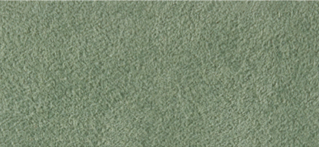 Alcantara 2156