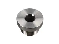Bouchon obturateur pour orifice de sonde à oxygène - 333660211