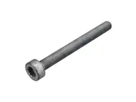 Bremssattel-Befestigungsschraube hinten. Porsche 9YA Cayenne / 991 Turbo - PAF911837, N91183701