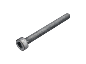 Brake caliper mounting bolt rear. Porsche 9YA Cayenne / 991 turbo - PAF911837, N91183701