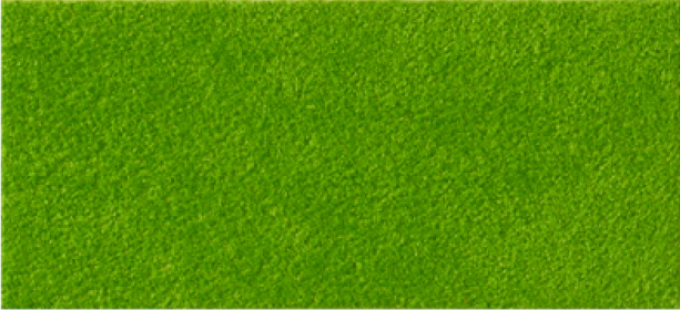 Alcantara 1581