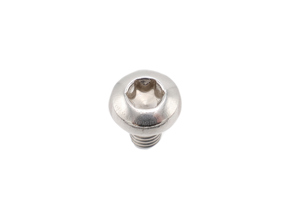 Fillister Head Screw, M6 x 10. Porsche 997 Turbo / 991 Turbo / 992.1 Turbo - PAF008313, 9990732360A