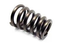 气门弹簧。保时捷 Boxster 986 2.5L / 996 3.4L - 99610511953