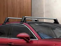 Sistema de transporte de techo. Porsche 971 Panamera 2017>> (I0E1) - 971860159, 971860159B