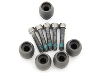 Brake disc driving pin kit. Porsche 991.1 / 991.2 - 99134190100